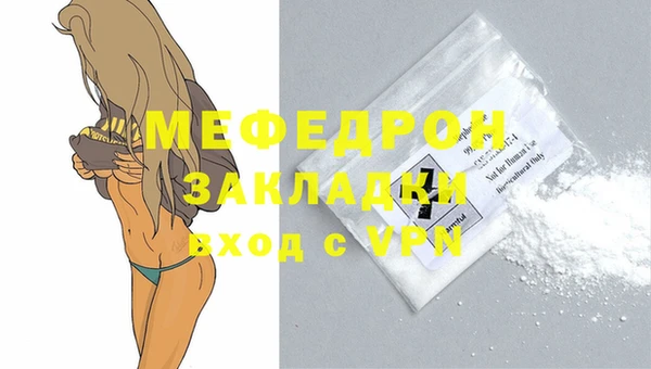 прущие грибы Новозыбков
