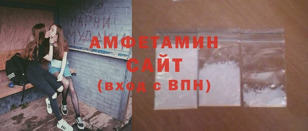 прущие грибы Новозыбков