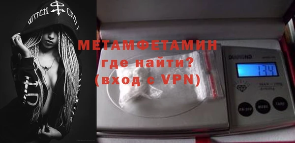 прущие грибы Новозыбков