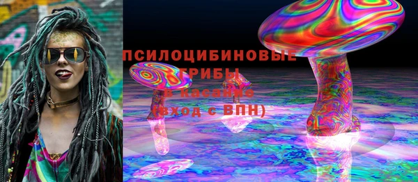 спиды Нея