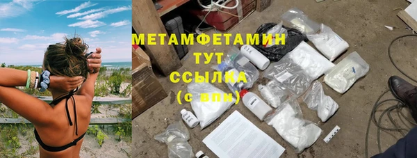 прущие грибы Новозыбков