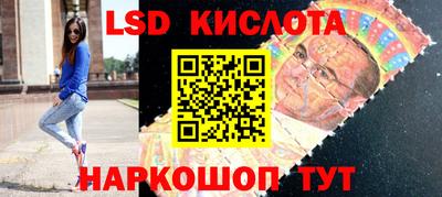 крисы Абакан