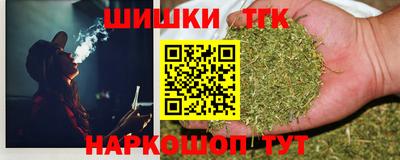 крисы Абакан