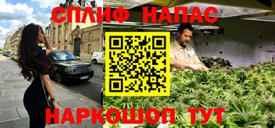 крисы Абакан