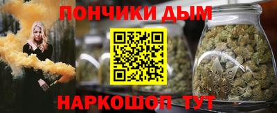 крисы Абакан