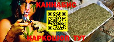 крисы Абакан