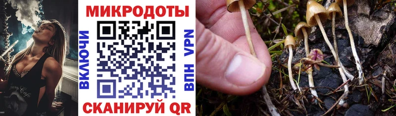 мега зеркало  цены   Полевской  Галлюциногенные грибы Psilocybine cubensis 