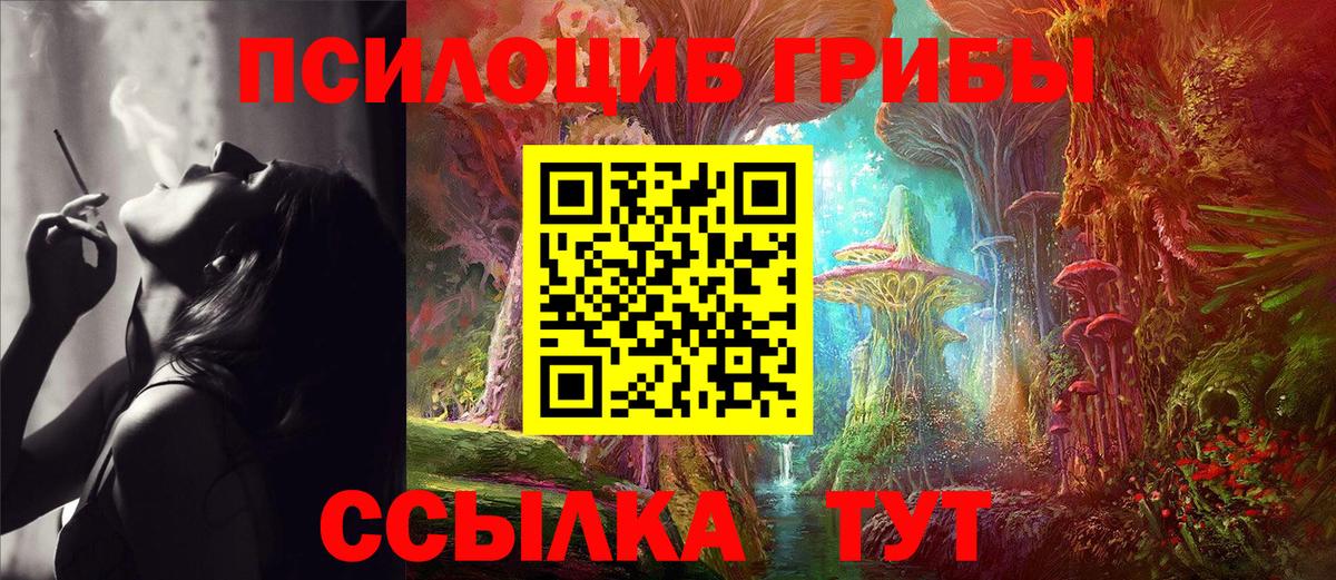 Псилоцибиновые грибы Psilocybine cubensis Полевской