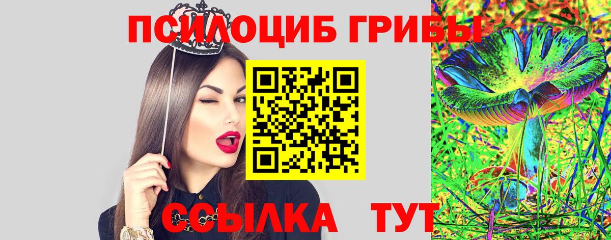 Псилоцибиновые грибы мицелий Полевской