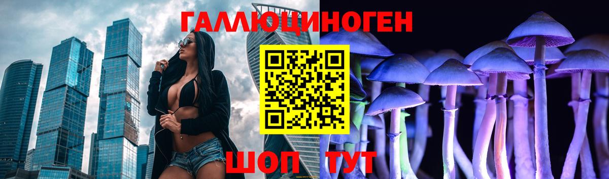 где купить наркоту  Вход с VPN  Полевской  Псилоцибиновые грибы GOLDEN TEACHER 