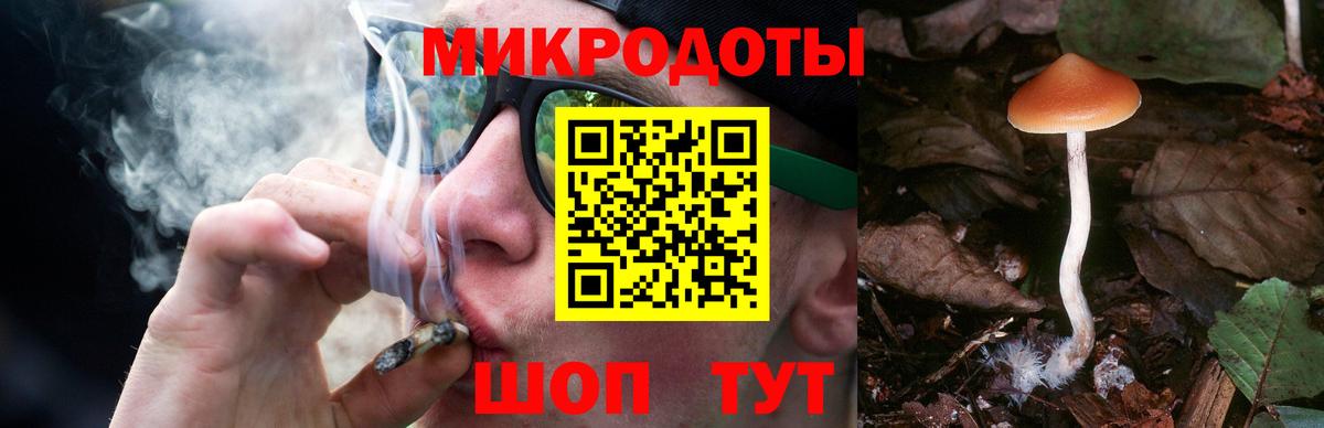 Галлюциногенные грибы Psilocybine cubensis  Полевской 